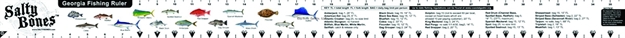 Picture of Salty Bones Boat Ruler Decal W/Georgia Regulations