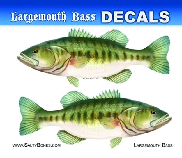 Picture of Salty Bones Decal, Mini-Largemouth Bass