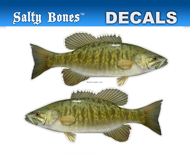 Picture of Salty Bones Decal, Mini-Smallmouth Bass