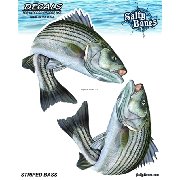 Picture of Salty Bones Decal, Double Striped Bass