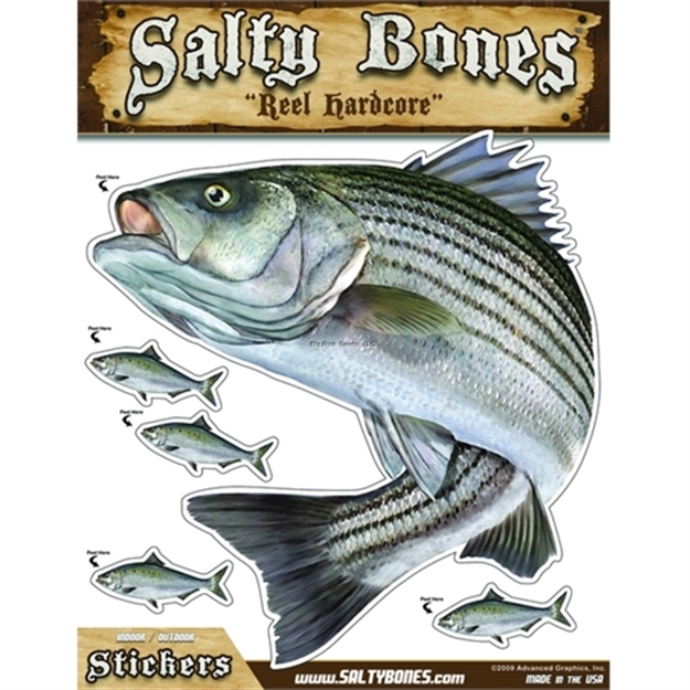 Picture of Salty Bones Mega Decal, 10.5" X 13.5", Striped Bass (Left Facing)