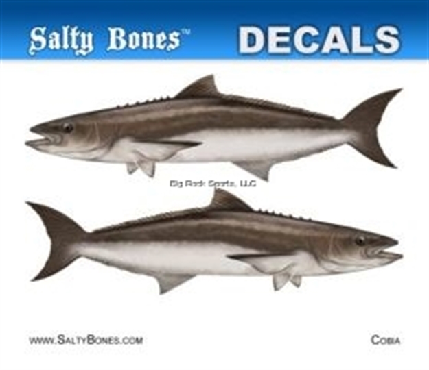 Picture of Salty Bones Decal, Mini-Cobia