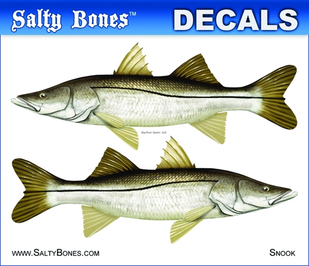 Picture of Salty Bones Decal, Mini-Snook