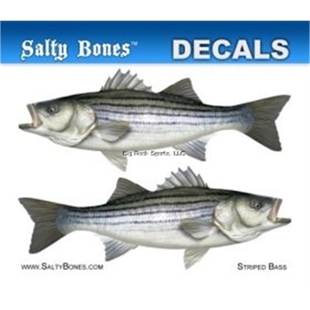 Picture of Salty Bones Decal, Mini-Striped Bass
