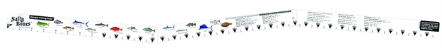 Picture of Salty Bones Folding Fish Ruler W/Georgia Regulations