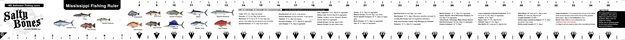 Picture of Salty Bones Mississippi Rules Boat Ruler Decal