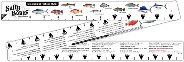 Picture of Salty Bones Mississippi Rules Folding Fish Ruler