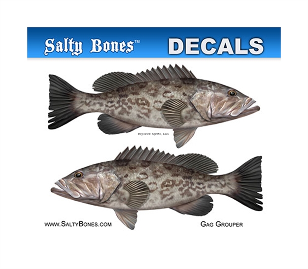 Picture of Salty Bones Profile Mini Decal-Gag Grouper