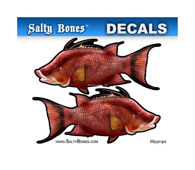 Picture of Salty Bones Profile Mini Decal-Hogfish