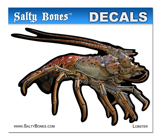Picture of Salty Bones Profile Mini Decal-Lobster/Right