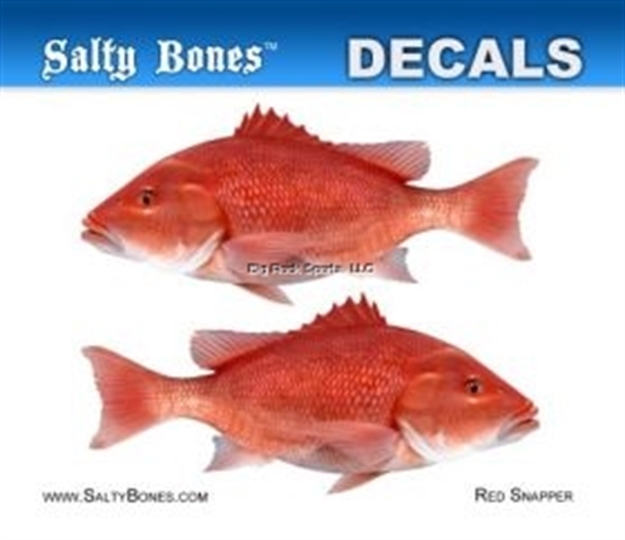 Picture of Salty Bones Profile Mini Decal-Snapper