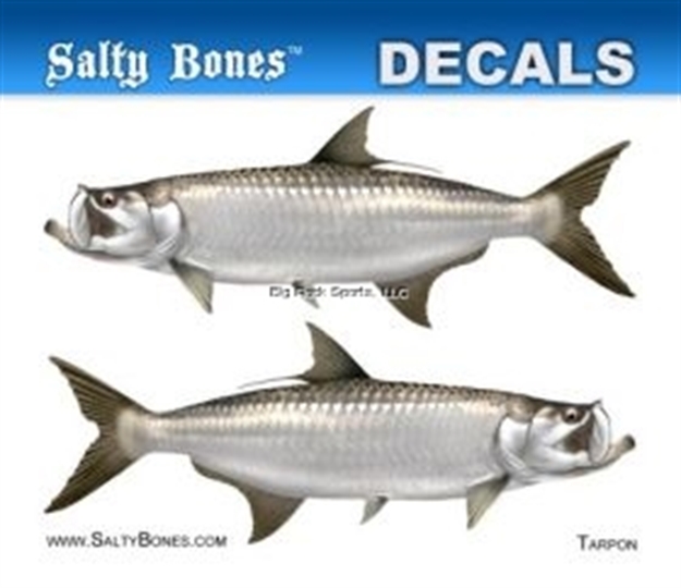 Picture of Salty Bones Profile Mini Decal-Tarpon