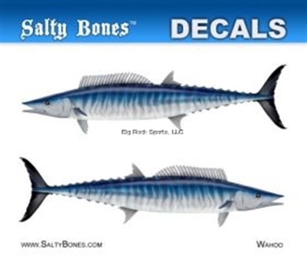 Picture of Salty Bones Profile Mini Decal-Wahoo