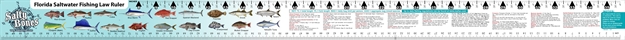 Picture of Salty Bones Vinyl Fishing Ruler With State Laws  Aqua Mist