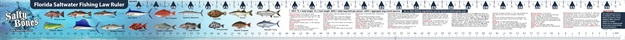 Picture of Salty Bones Vinyl Fishing Ruler With State Laws  Ocean Scene