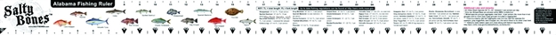 Picture of Salty Bones Vinyl Stick-On Fishing Ruler, 2" X 36", W/Alabama Laws