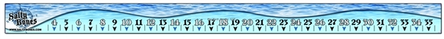 Picture of Salty Bones Vinyl Stick-On Fishing Ruler, 2" X 36", W/No Laws