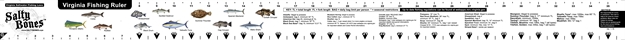 Picture of Salty Bones Virginia Rules Boat Ruler Decal