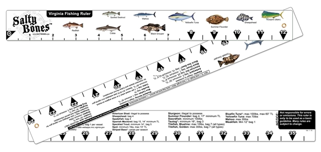 Picture of Salty Bones Virginia Rules Foding Fish Ruler