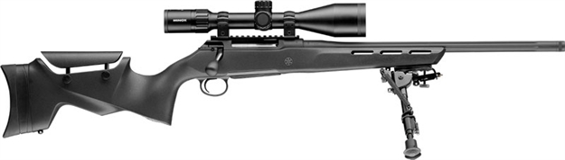 Picture of Sauer 100 Pantera .243 Win 20" Lam MT Blk MT Cerakote