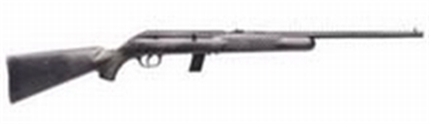Picture of Savage 64 F 22Lr 20.5''