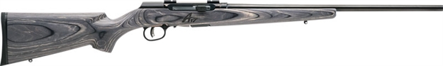 Picture of  Savage Arms 47801 A17 Sporter Full Size 17 Wsm 8+1 22" High Luster Button Rifled Barrel, High Luster Drilled & Tapped Carbon Steel Receiver, Matte Gray Fixed Laminate Stock, Right Hand