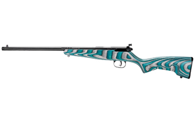 Picture of  Savage Arms 13802 Rascal Minimalist Youth 22 LR 1Rd 16.12" Matte Black Threaded Barrel, Satin Black Carbon Steel Receiver, Gray & Teal Hybrid Boyd's Minimalist Laminate Stock, Right Hand 062654138027