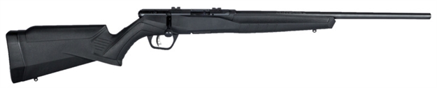 Picture of Savage Arms B17f Compact 17Hmr 18"Bbl 10Rd 70814