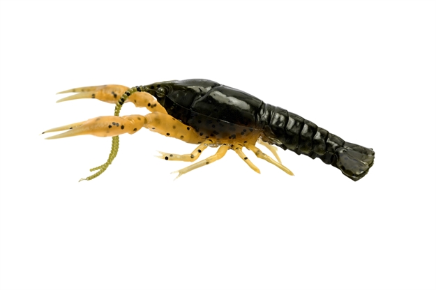 Picture of Savage Gear 3D Craw 4"   1/4Oz F Alabma Craw
