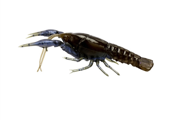 Picture of Savage Gear 3D Craw 4"   1/4Oz F Magic Craw