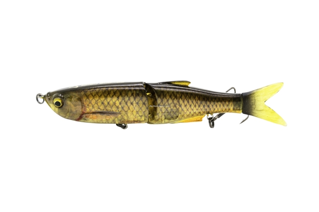 Picture of Savage Gear 3D Glide Swimmer 8"   3Oz SS Golden Shiner