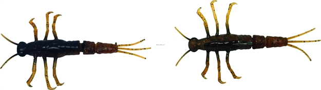 Picture of Savage Gear 3D Tpe Mayfly Nymph, Segmented Tail,, Brown, 2", 1/10 Oz,1 Pc, Sinking