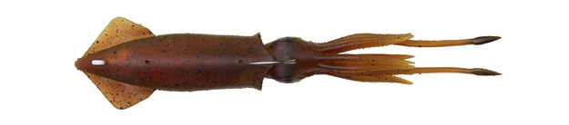 Picture of Savage Gear 3D Tpe Swim Squid 3 ?" ? OZ  Red Brown 2Pcs