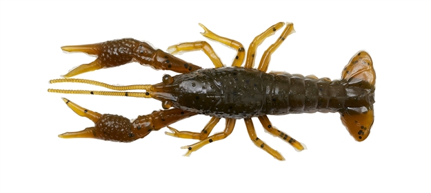 Picture of Savage Gear 4D Craw 3" Green Pumpkin 6 Pcs