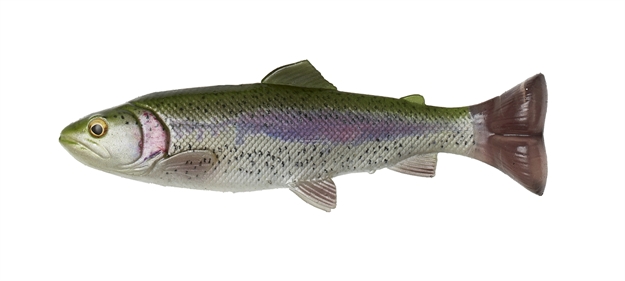 Picture of Savage Gear 4D Splitfin Pulse Tail Trout 10" Ghost Trout