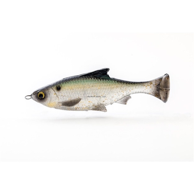 Picture of Savage Gear Pulse Tail Baitfish 4"   2+1 LB Green Back