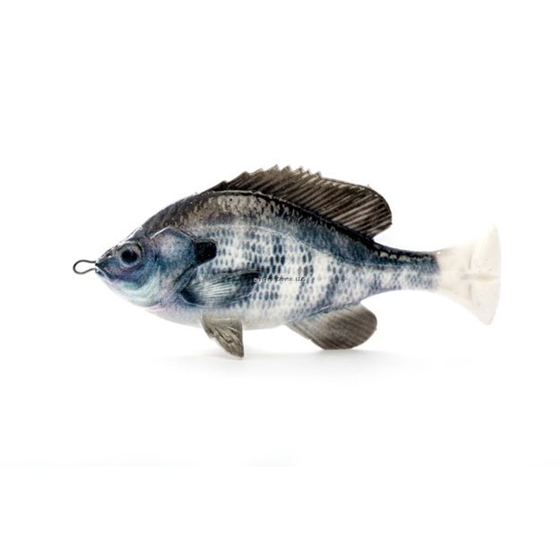 Picture of Savage Gear Pulse Tail Bluegilll 4"   LB White Gill, 1 1/4 Oz., Moderate Sink