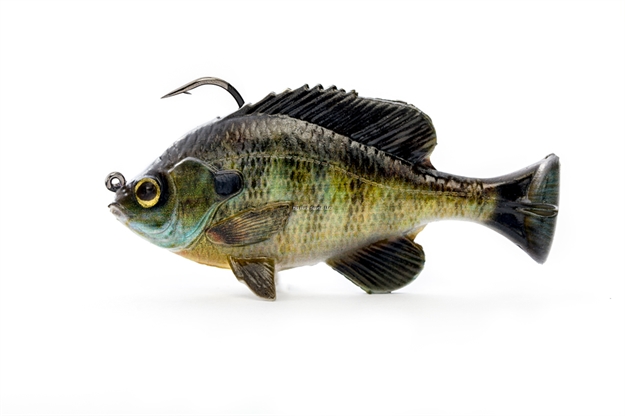 Picture of Savage Gear Pulse Tail Bluegilll 4"   Rtf Bluegill, 1Oz., Moderate Sink