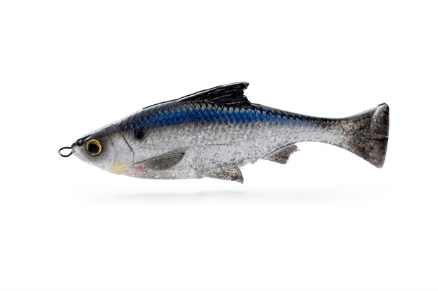 Picture of Savage Gear Pulse Tail Shiner 4"   LB Shad, 3/4Oz., Slow Sink