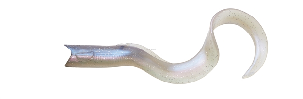 Picture of Savage Gear Real Eel  8" Ghost Essence Loose Body 4 Pcs