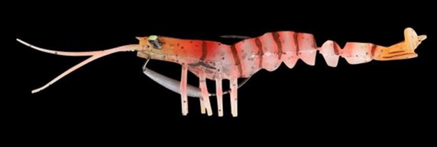Picture of Savage Gear Tpe 3D Shrimp, Red, 5", 1/2 Oz, Sinking