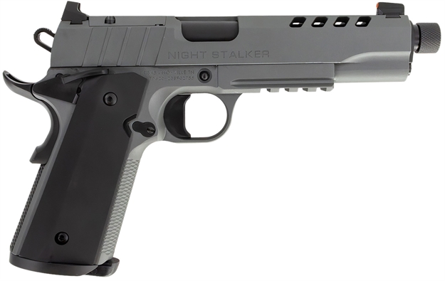 Picture of SDS IMPORTS 1911 NIGHT STALKER 10MM 5 TB GREY 1911NIGHTSTALKERSF10