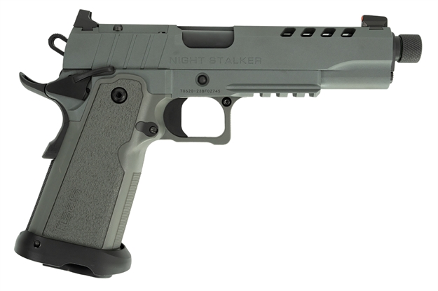 Picture of Sds Imports 1911Ntstlkr 9Mm 5" 2/17 DS TB 1911B9RNSDS