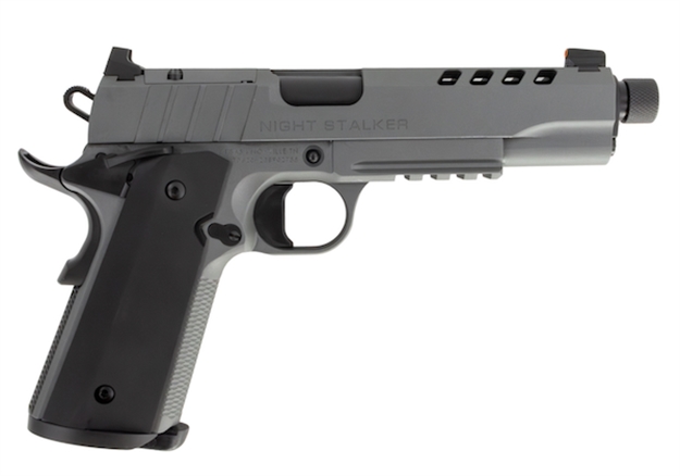 Picture of Sds Imports 1911 Ngt Stlkr 45Acp 5" OR TB 10100556