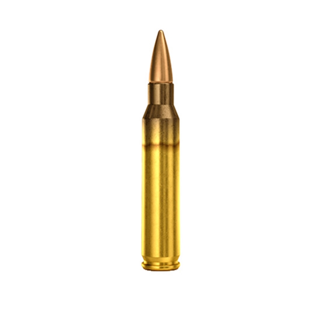 Picture of Sellier & Bellot 5.56 55Gr Fmj 20/50