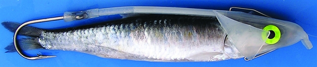 Picture of Shelton Franko Bullet Rotator(Fbr) 30Lb Original Soft