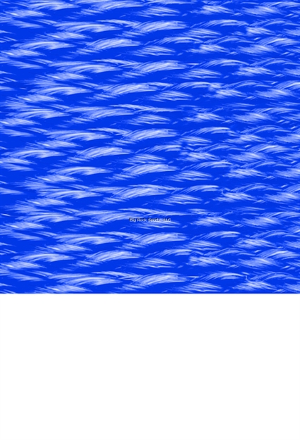 Picture of Shoreline Utlty Line PP HB 1/4"X40'blue