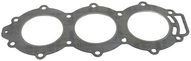Picture of Sierra Head Gasket
