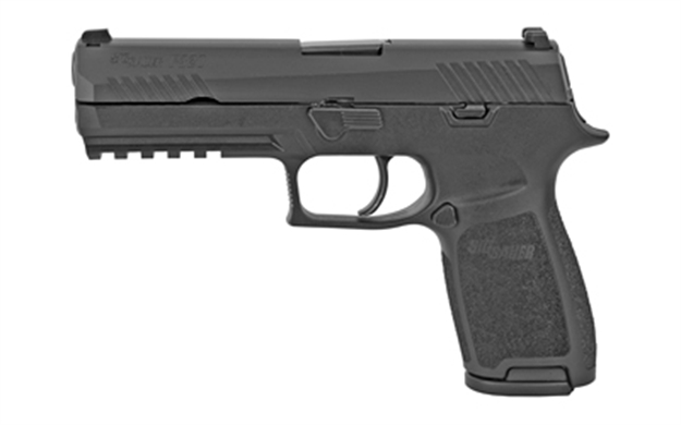 Picture of Sig P320f 9Mm 4.7" 17Rd Blk 320F-9-B
