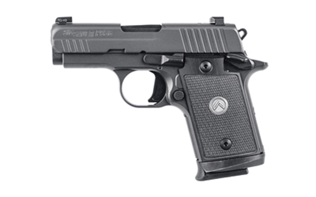 Picture of  Sig Sauer 938M9legion P938 Micro-Compact Legion 9Mm Luger 3" 10+1 Legion Gray Cerakote Elite Legion Gray Cerakote Stainless Steel Black G10 Grip X-Ray3 Night Sight